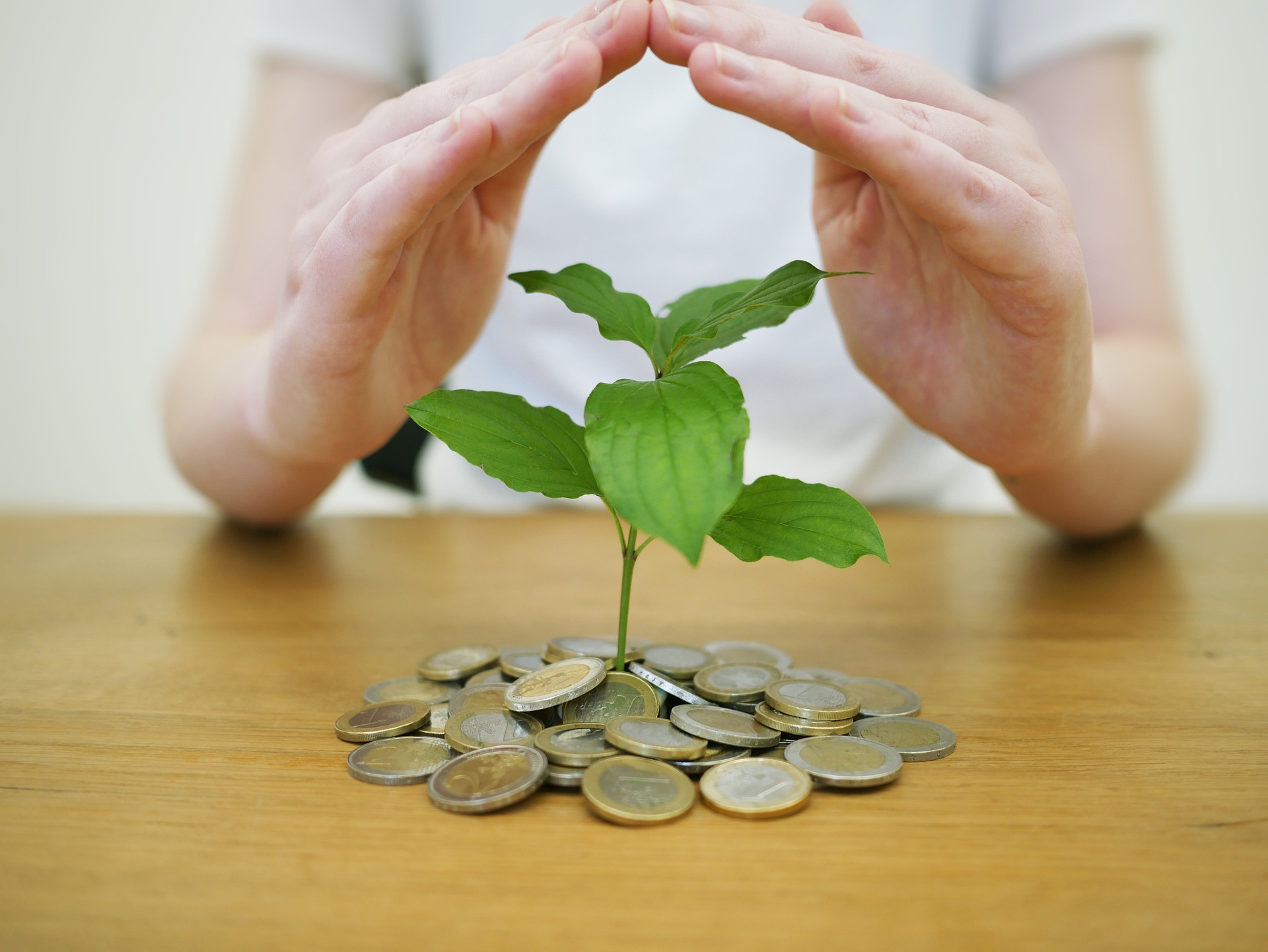 ¿Cuál es el momento exacto para invertir en tu negocio sin perder dinero?